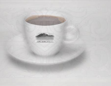 Die Rösterei Kopi Luwak oder auch Schleichkatzenkaffee Die Rösterei Kopi Luwak oder auch Schleichkatzenkaffee