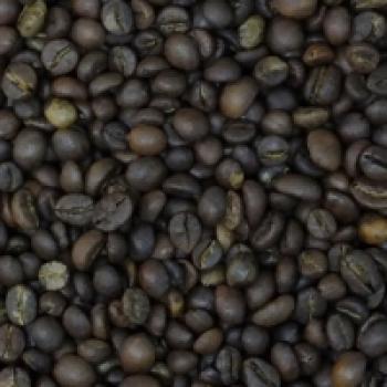 Elephant Beans Coffee `Wayanad Kaapi` Indian Robusta Espresso Elephant Beans Coffee `Wayanad Kaapi` Indian Robusta Espresso