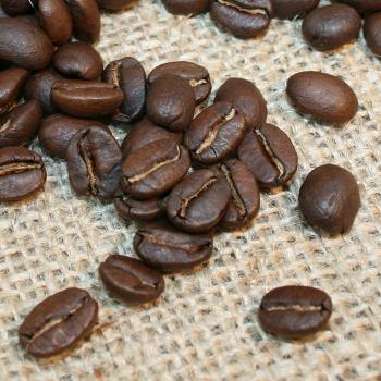 Kaffee Manufaktur Uganda Bio Kaffee Manufaktur Uganda Bio
