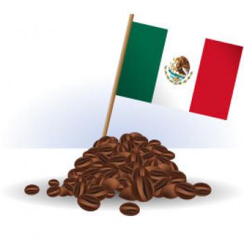 Rösterei Fuchs Mexico Altura Topacio Rösterei Fuchs Mexico Altura Topacio