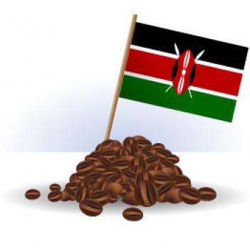 Rösterei Fuchs Kenya AA Rösterei Fuchs Kenya AA