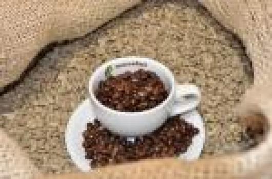 Rösterei Moccafair Moccafair Vainilla Bio Rösterei Moccafair Moccafair Vainilla Bio
