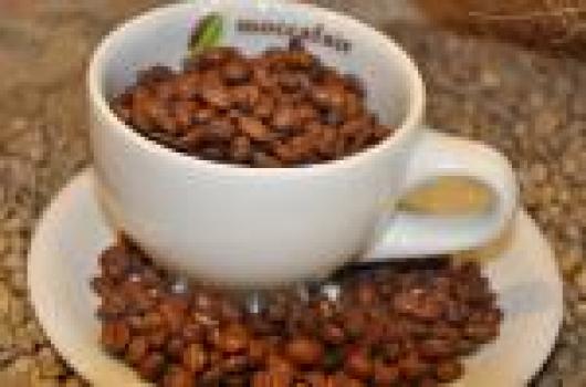 Rösterei Moccafair Moccafair Melange Bio Rösterei Moccafair Moccafair Melange Bio